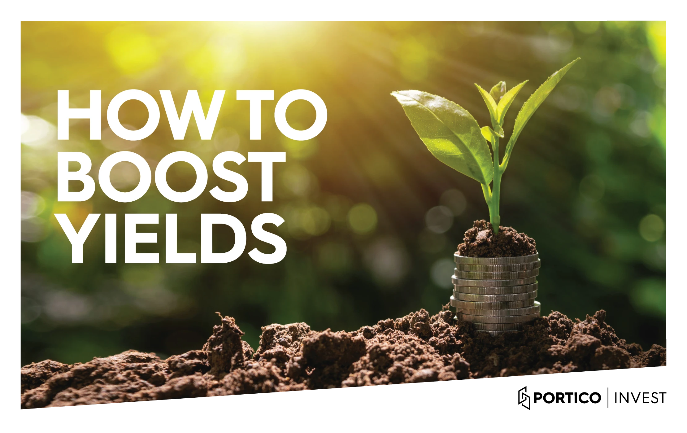 How to Boost Yields with Portico Invest